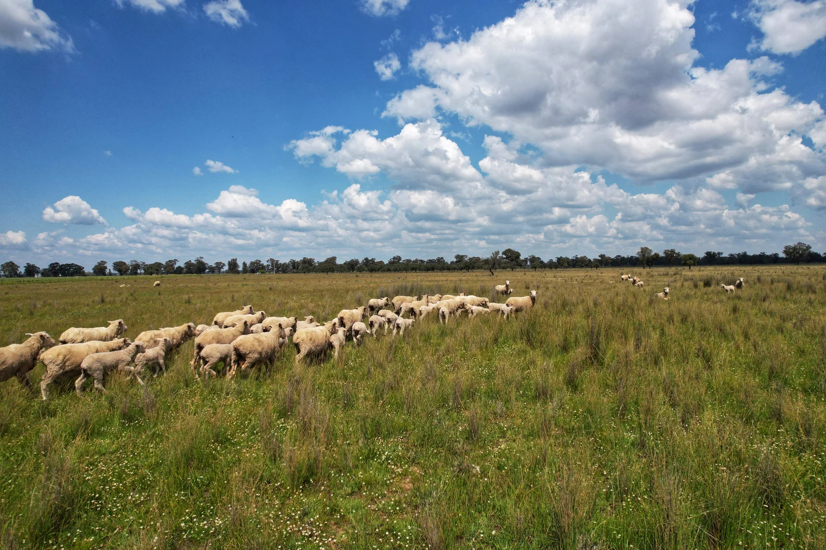 Additional image 10 of Part Rosewood Taweni Road, Peak Hill NSW 2869