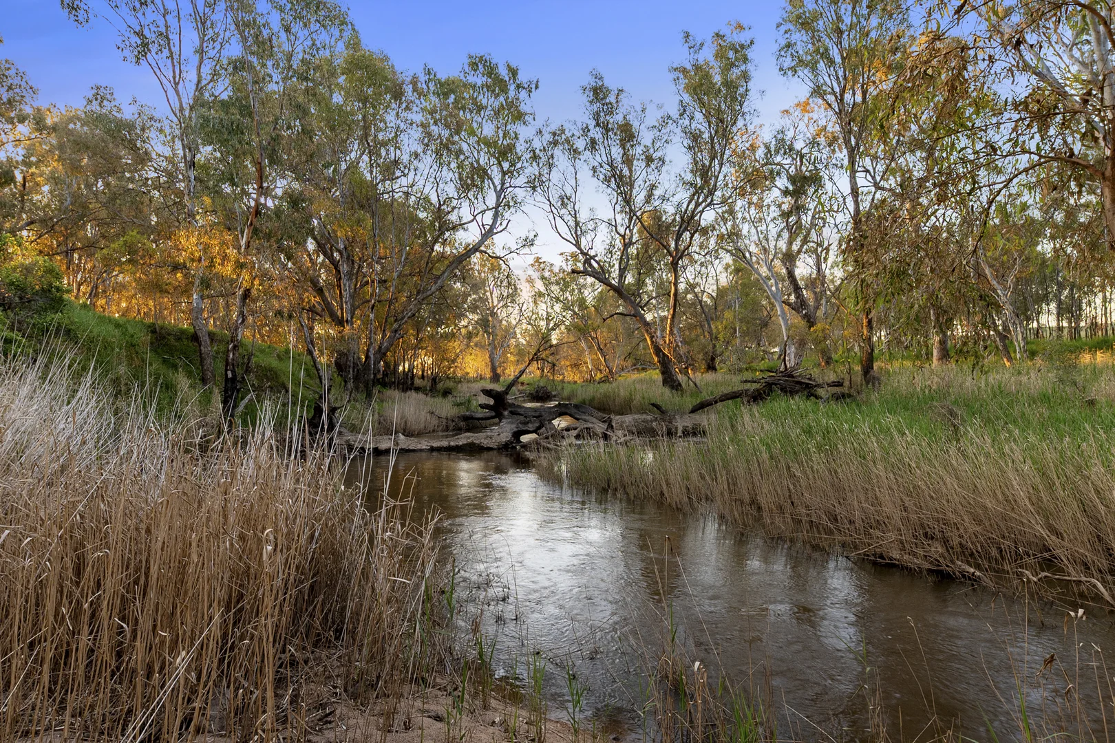 Additional image 8 of 241 Bendigo-Murchison Road,, Goornong VIC 3557