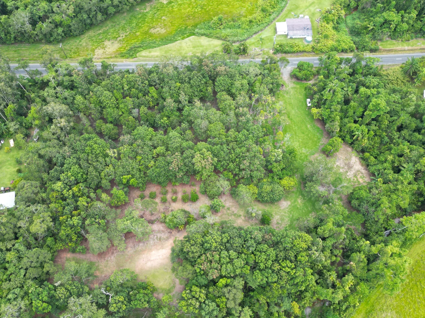 Additional image 9 of 2869 Mossman Daintree Road, Lower Daintree, Daintree QLD 4873