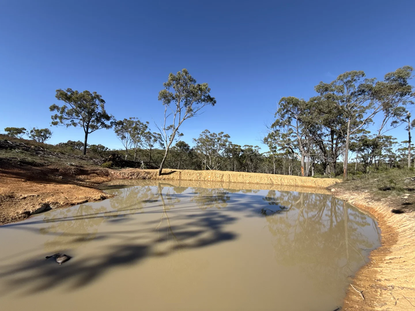 Additional image 2 of 157 Blakney Creek North Road, Bevendale NSW 2581