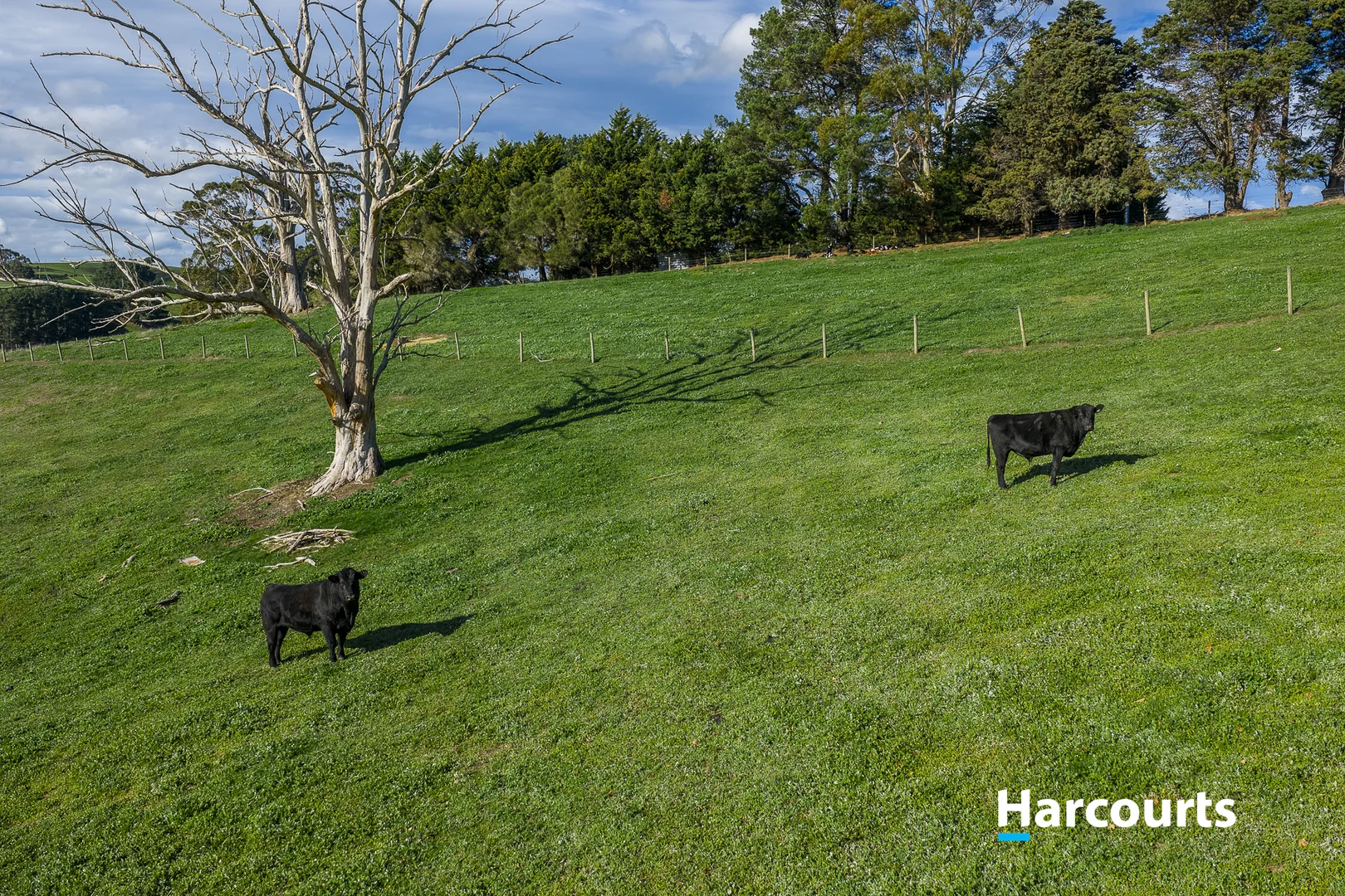 Additional image 41 of 37 Bells Road, Mount Eccles VIC 3953