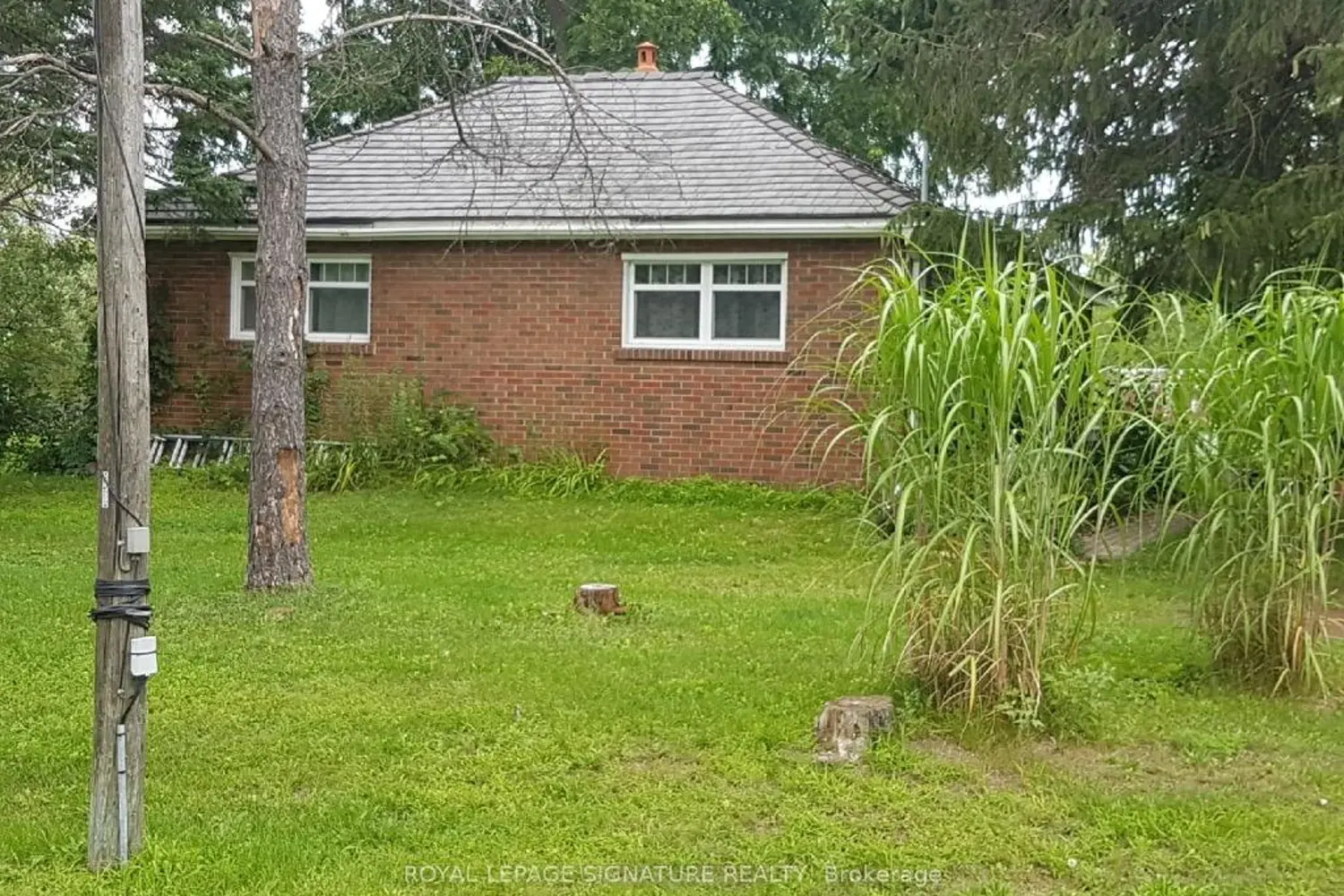 Additional image 2 of 16469 7Th Concession Road