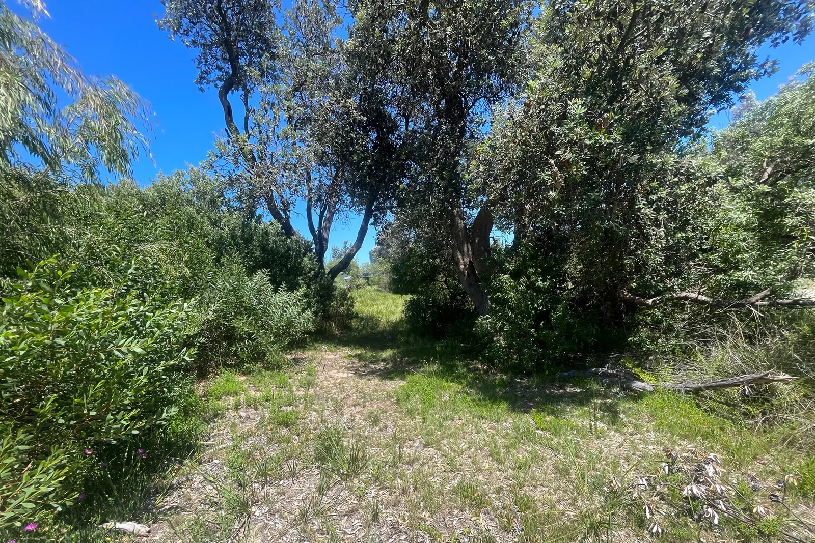 Additional image 13 of 63 Edgewater Drive, Golden Beach VIC 3851