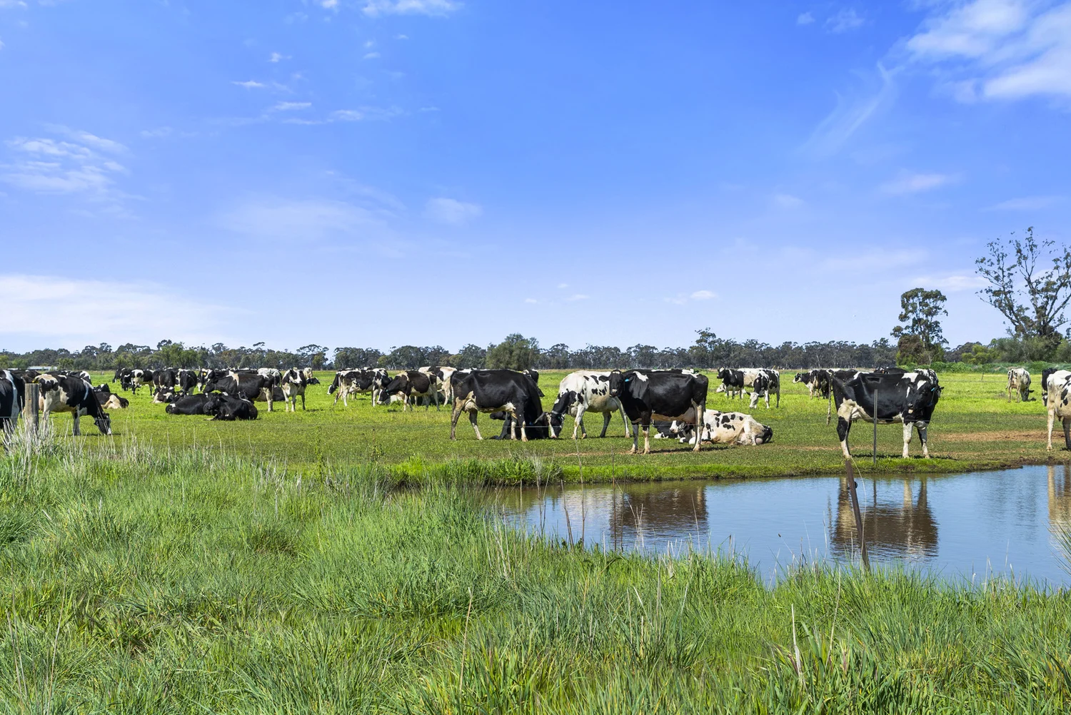 Additional image 15 of 2896 Murray Valley Highway, Yielima VIC 3638