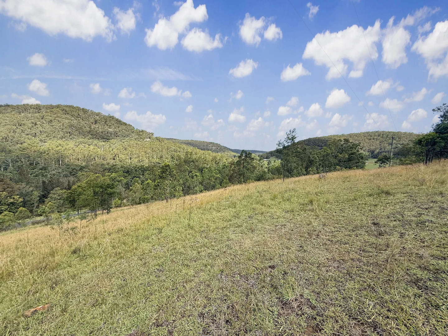 Additional image 9 of Lot 6 Paynes Crossing Rd, Paynes Crossing NSW 2325