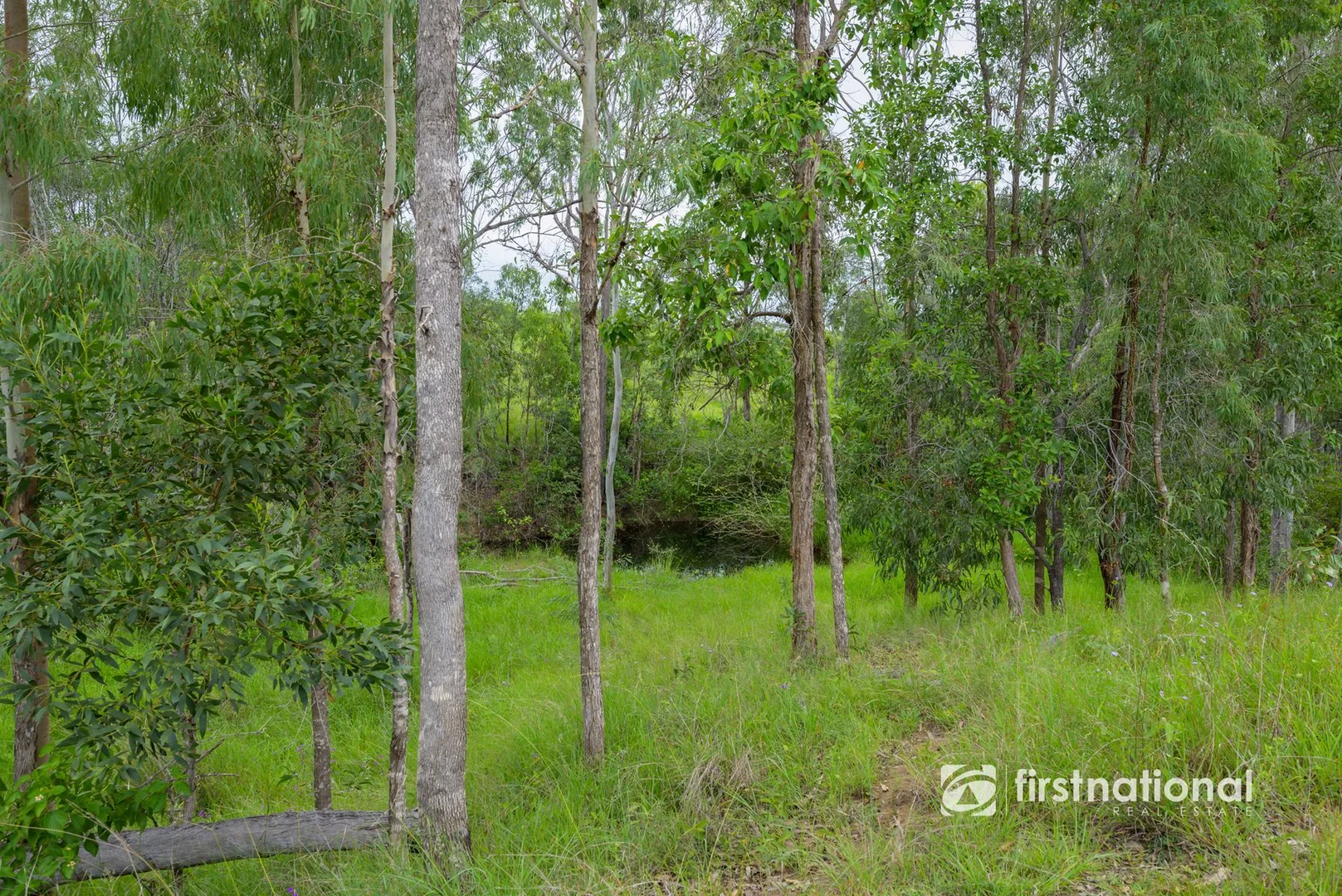 Additional image 12 of 35515 Bruce Highway, Monduran QLD 4671