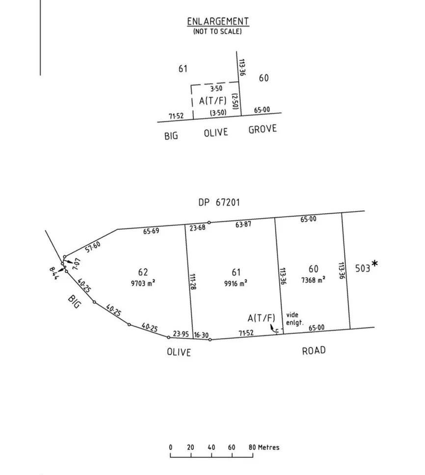 Lot 62 BIG OLIVE GROVE, Tailem Bend SA 5260