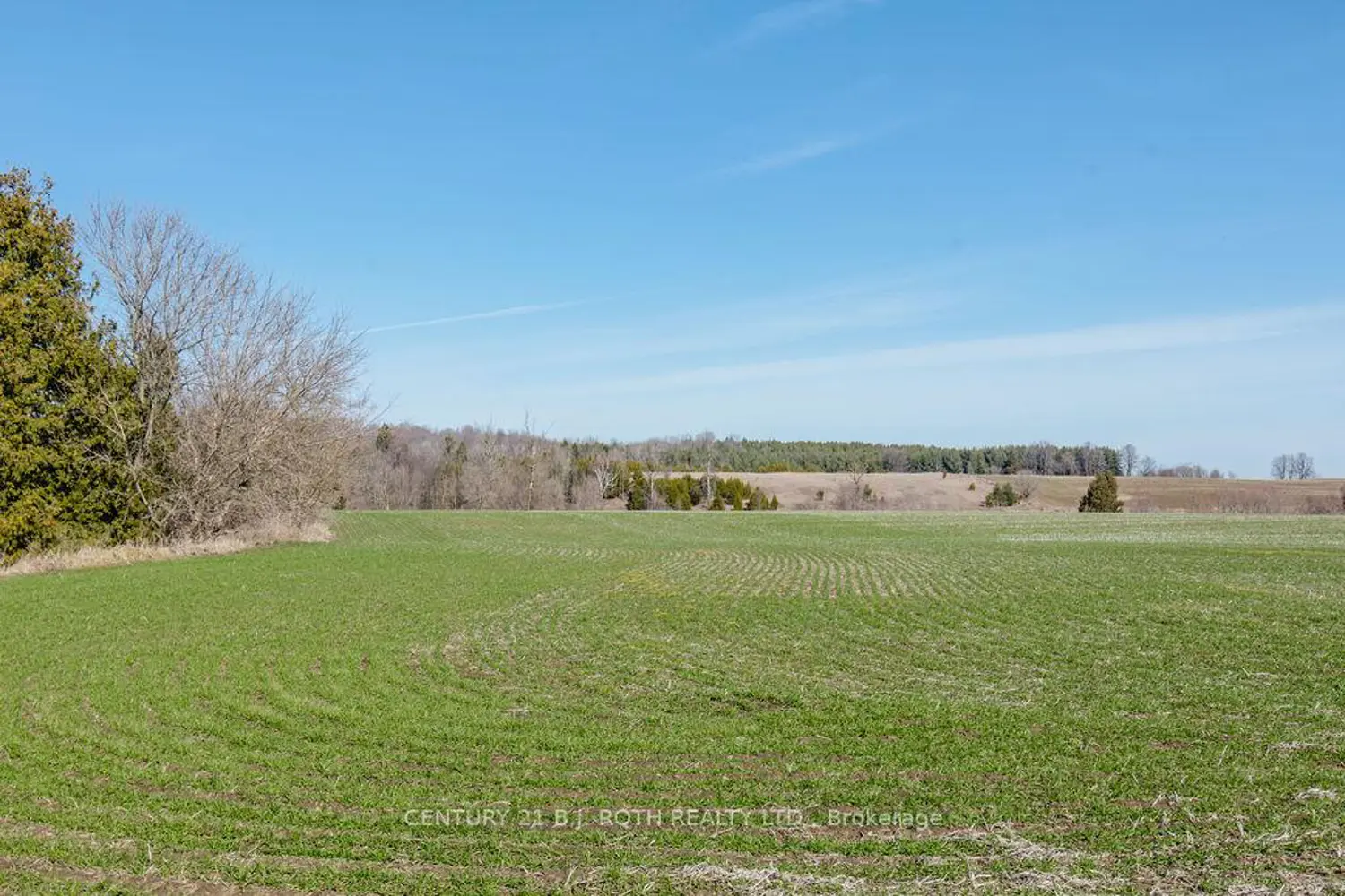 Additional image 17 of 7468 25Th Side Road