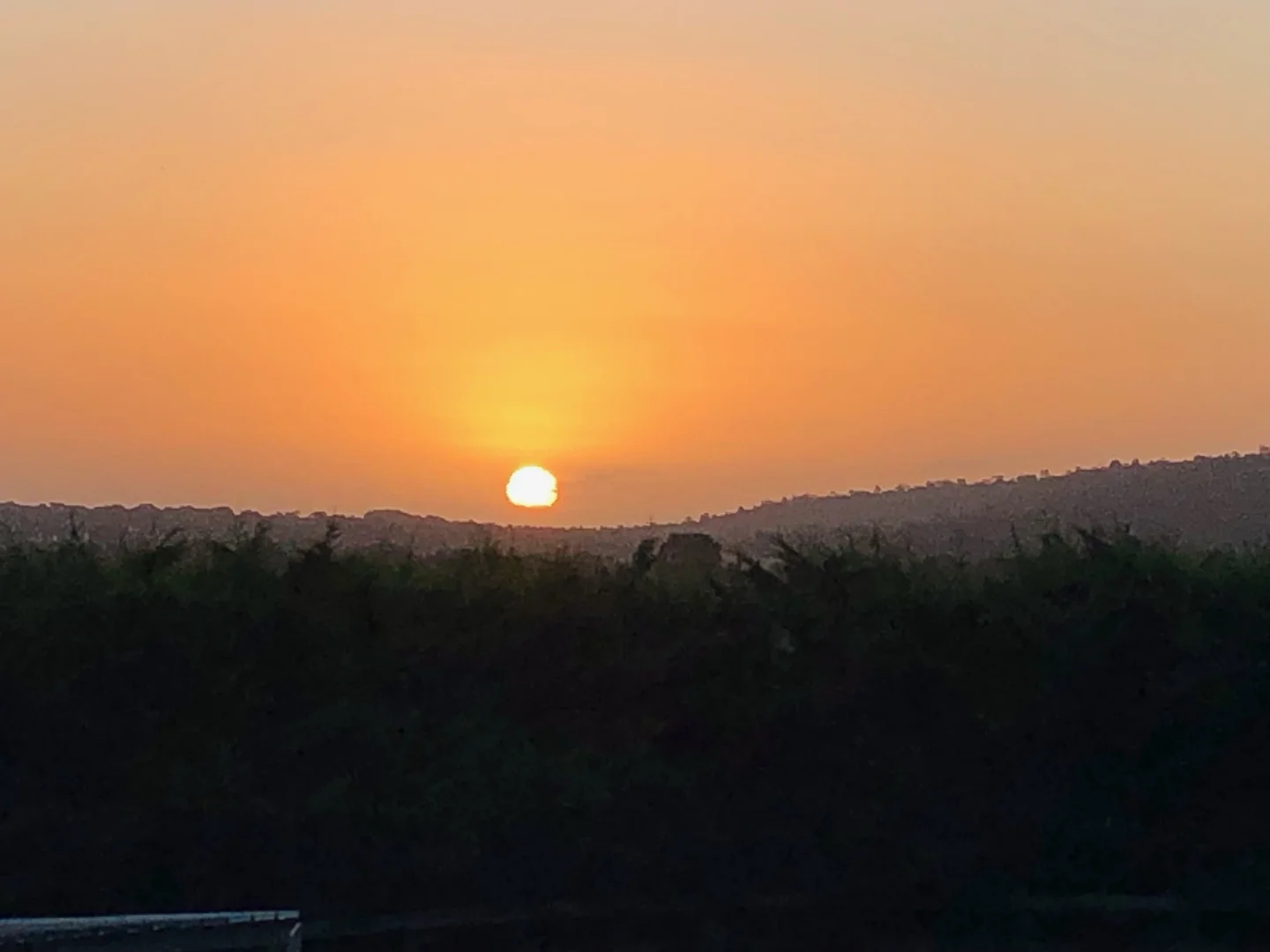 Additional image 39 of 135 Barretts Road, Langwarrin South VIC 3911