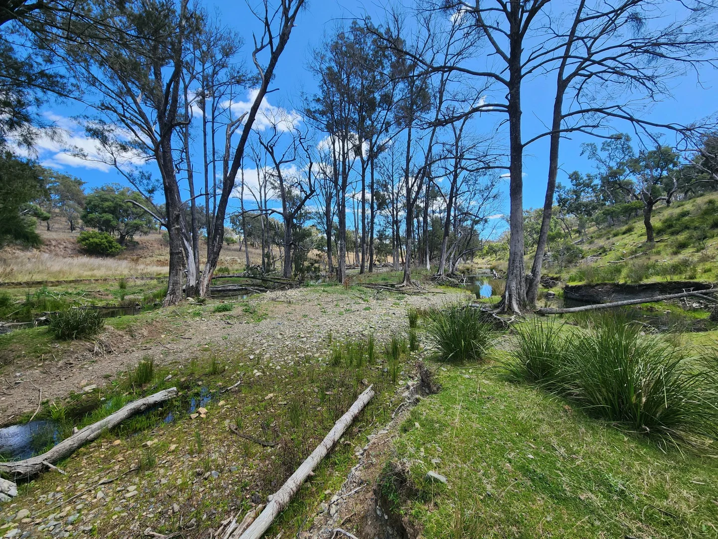 Additional image 4 of Lot 2 Stanthorpe Texas Road, Stanthorpe QLD 4380