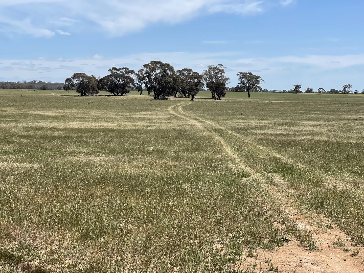 Additional image 26 of 0 Mathison Road, Gre Gre South VIC 3477