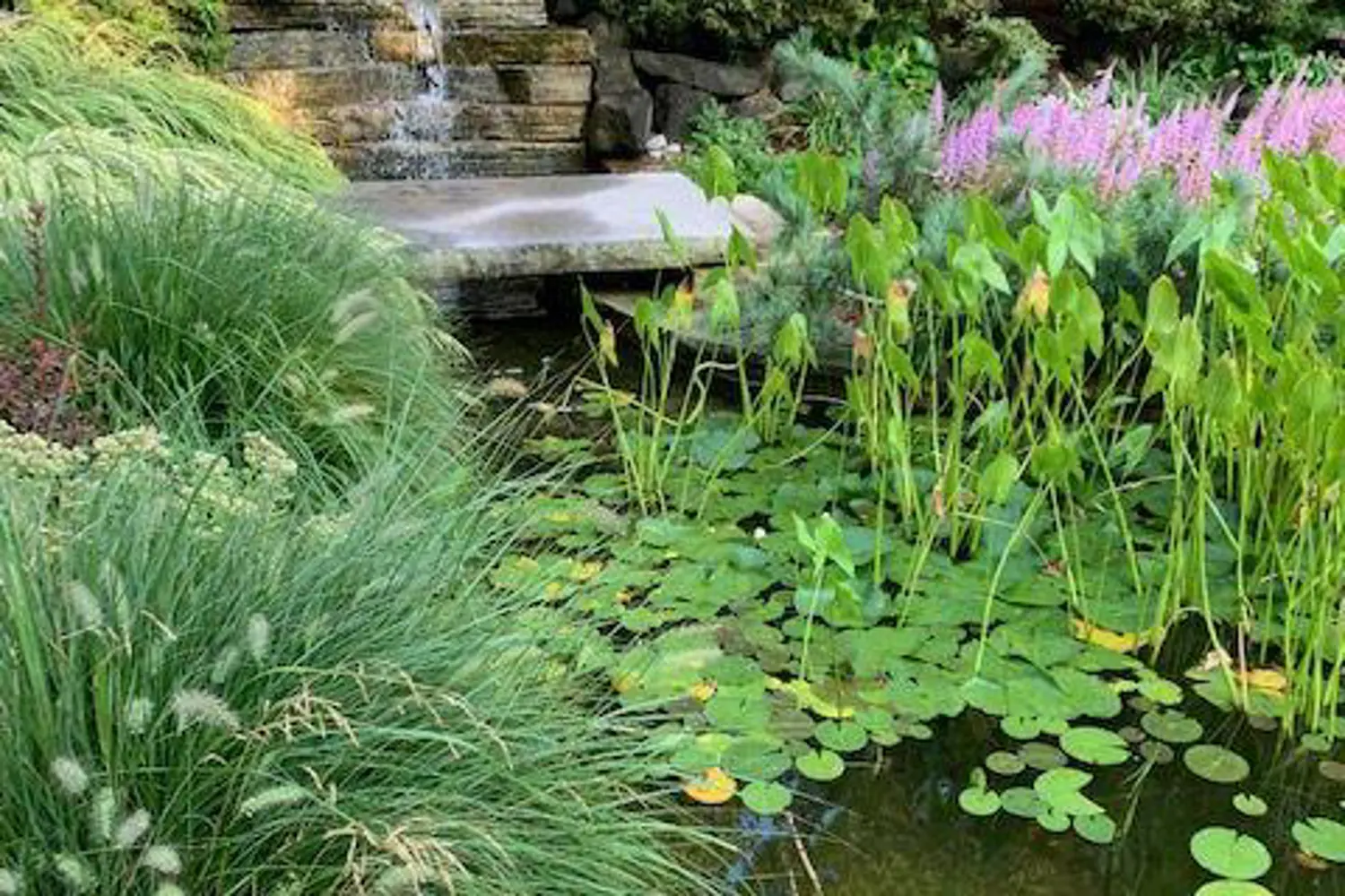 Additional image 11 of 284 Mill Road Ph2