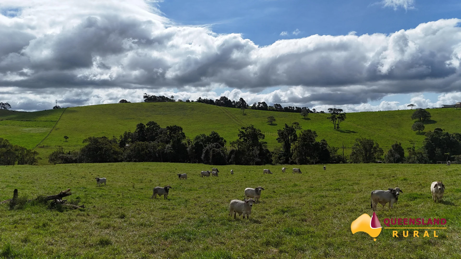 Additional image 4 of Tarzali QLD 4885