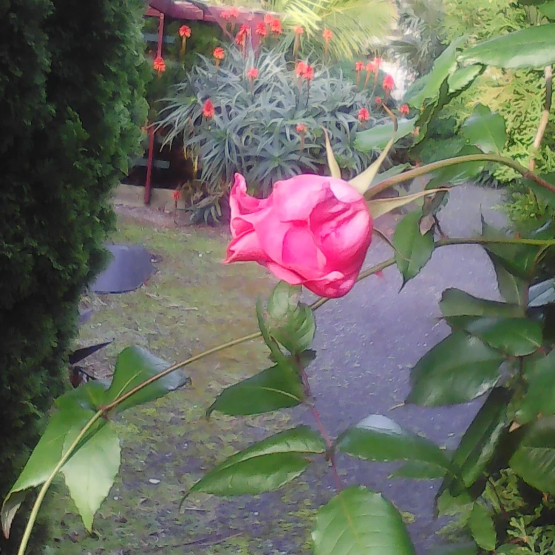 Additional image 11 of 18 Wonthaggi Crescent, San Remo VIC 3925