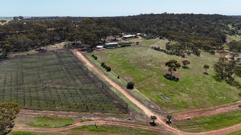 Additional image 43 of 9 Morris Edwards Drive, York WA 6302