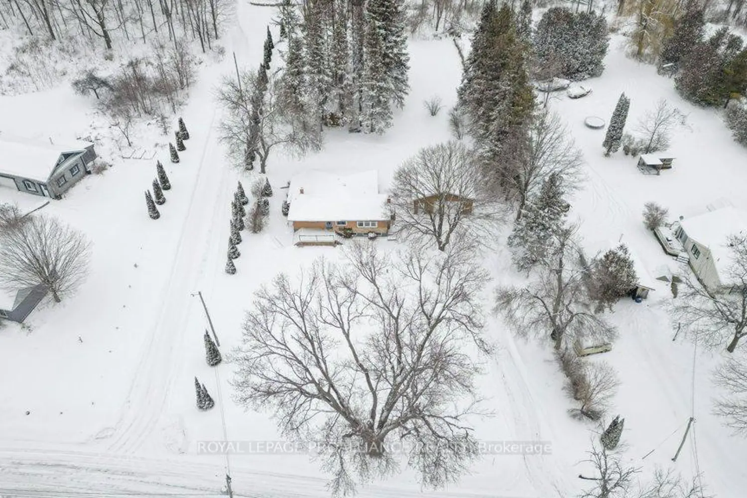 Additional image 16 of 556 Rosebush Road