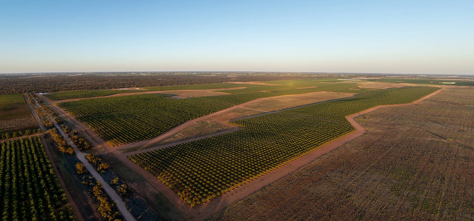 971 Wilga Road, Red Cliffs VIC 3496