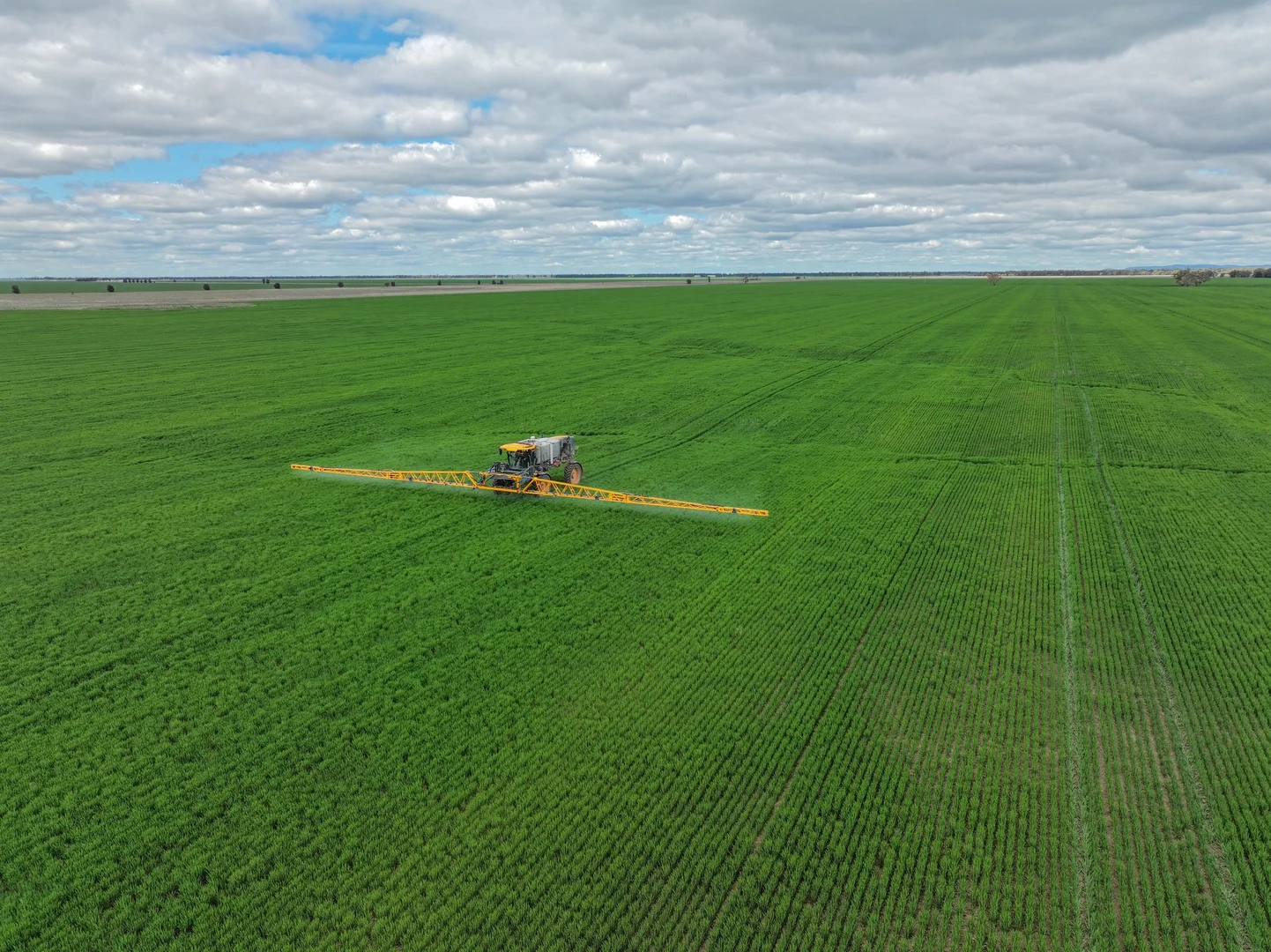 Additional image 5 of 'Williams Crossing' 139 Harris Lane, Quandialla NSW 2721