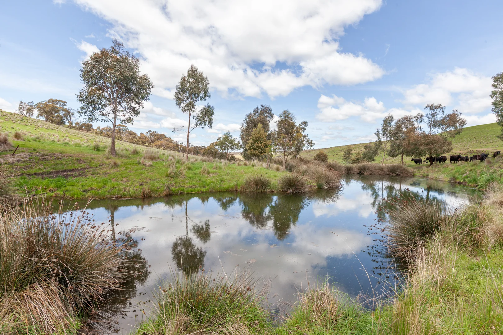 Additional image 7 of 35, 35A, 42 & 42A Romsey Road, Chintin VIC 3756