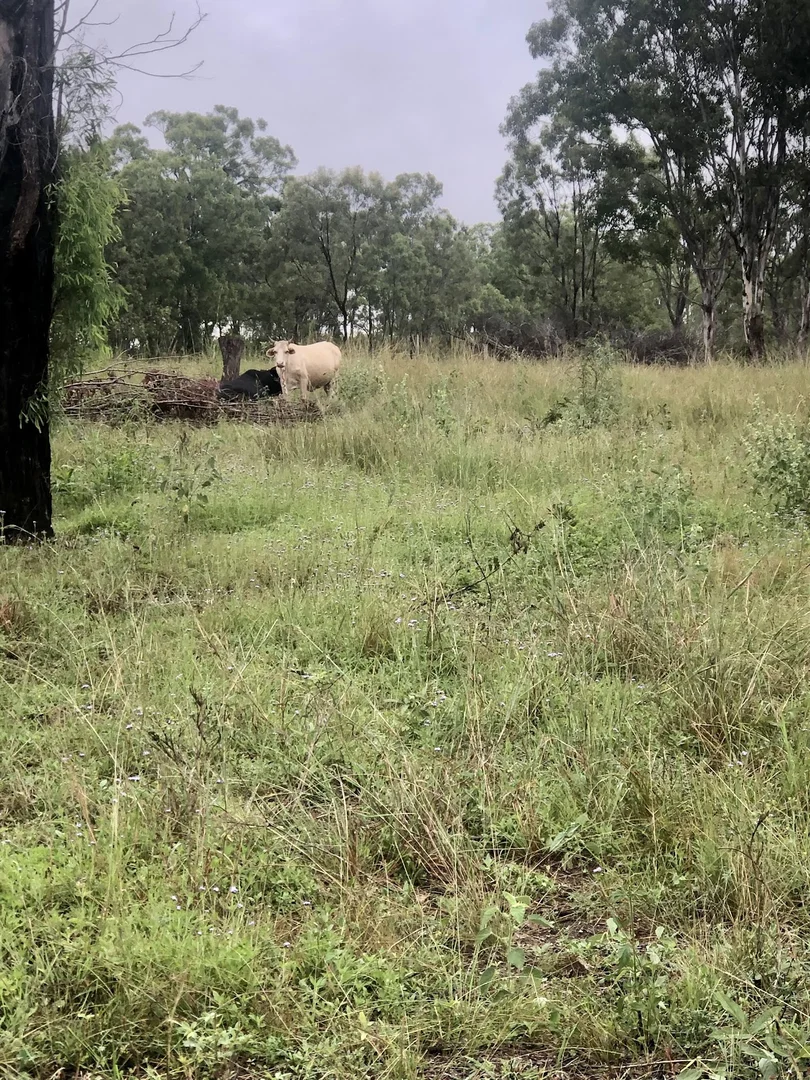 Additional image 10 of l3/4 Ferry Road, Rosedale QLD 4674