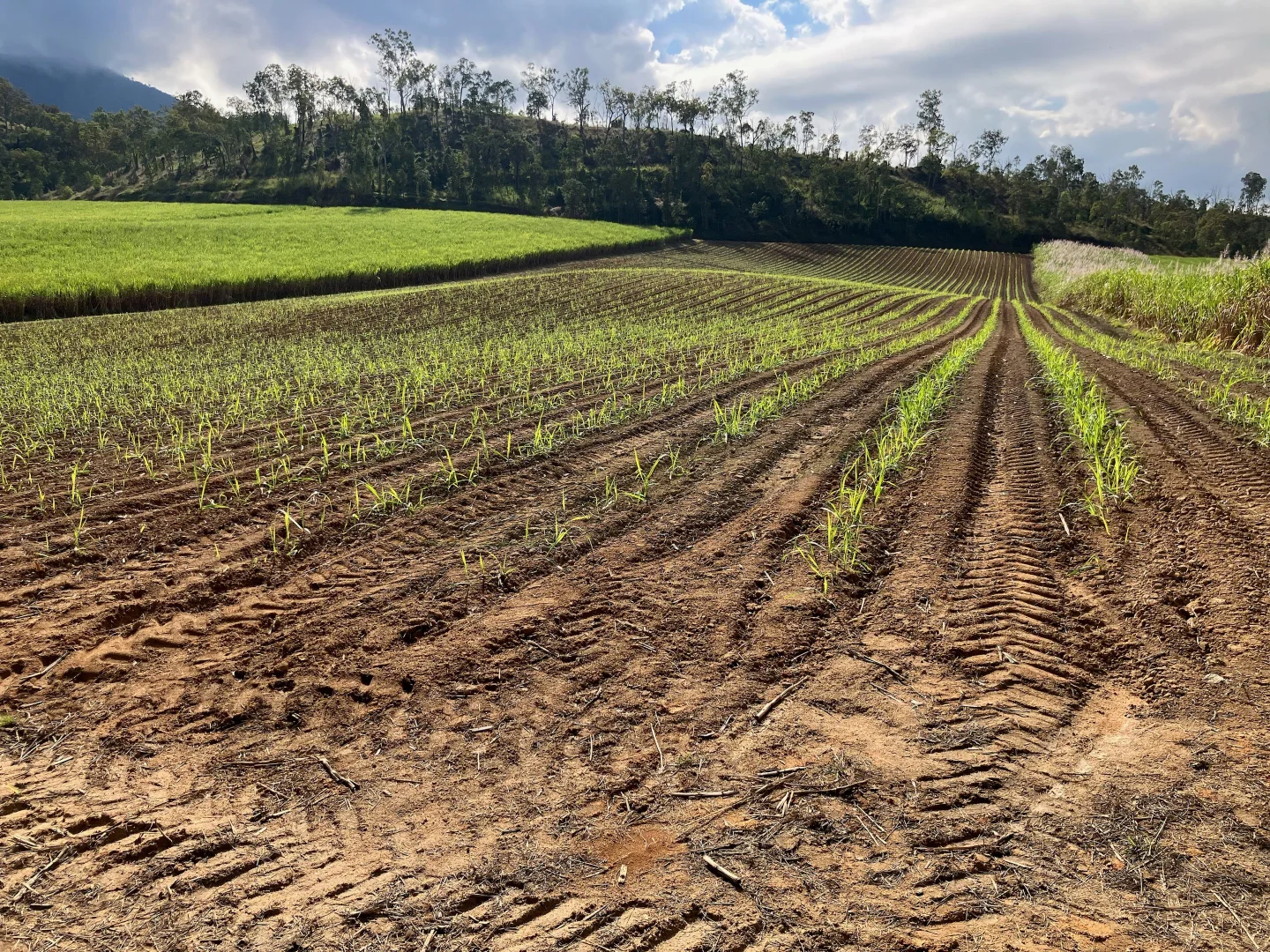 Additional image 32 of Finch Hatton QLD 4756