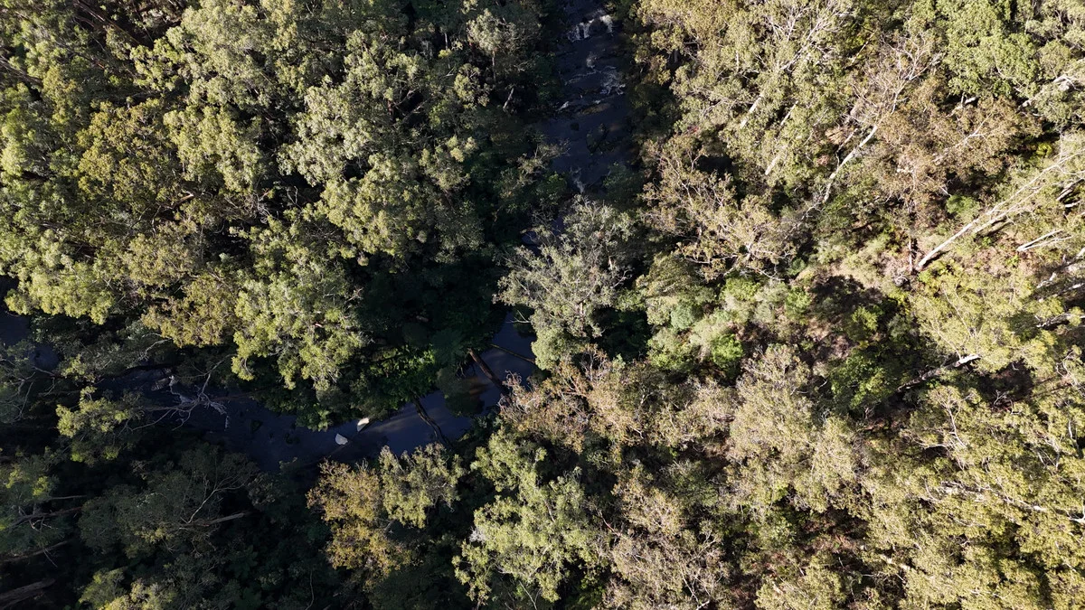 Additional image 12 of 318 Old Ocean Road, Glenaire VIC 3238