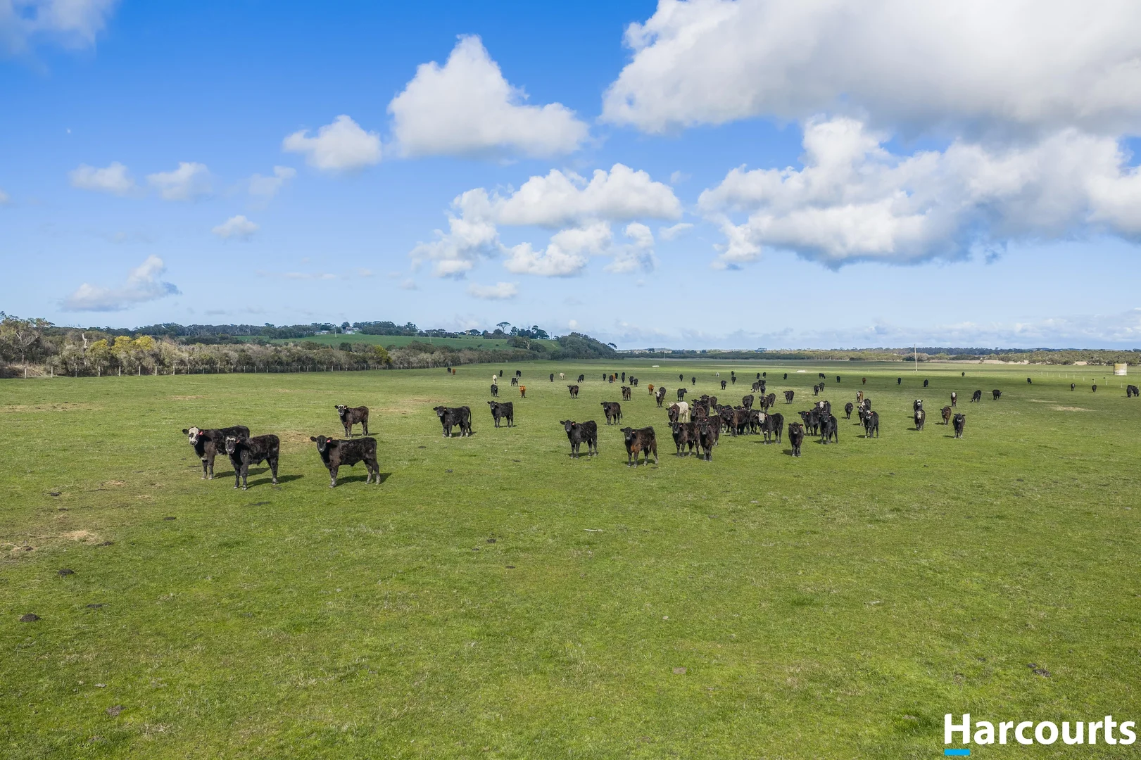 Additional image 6 of 120 Stewart and Dunlop's Road, Middle Tarwin VIC 3956