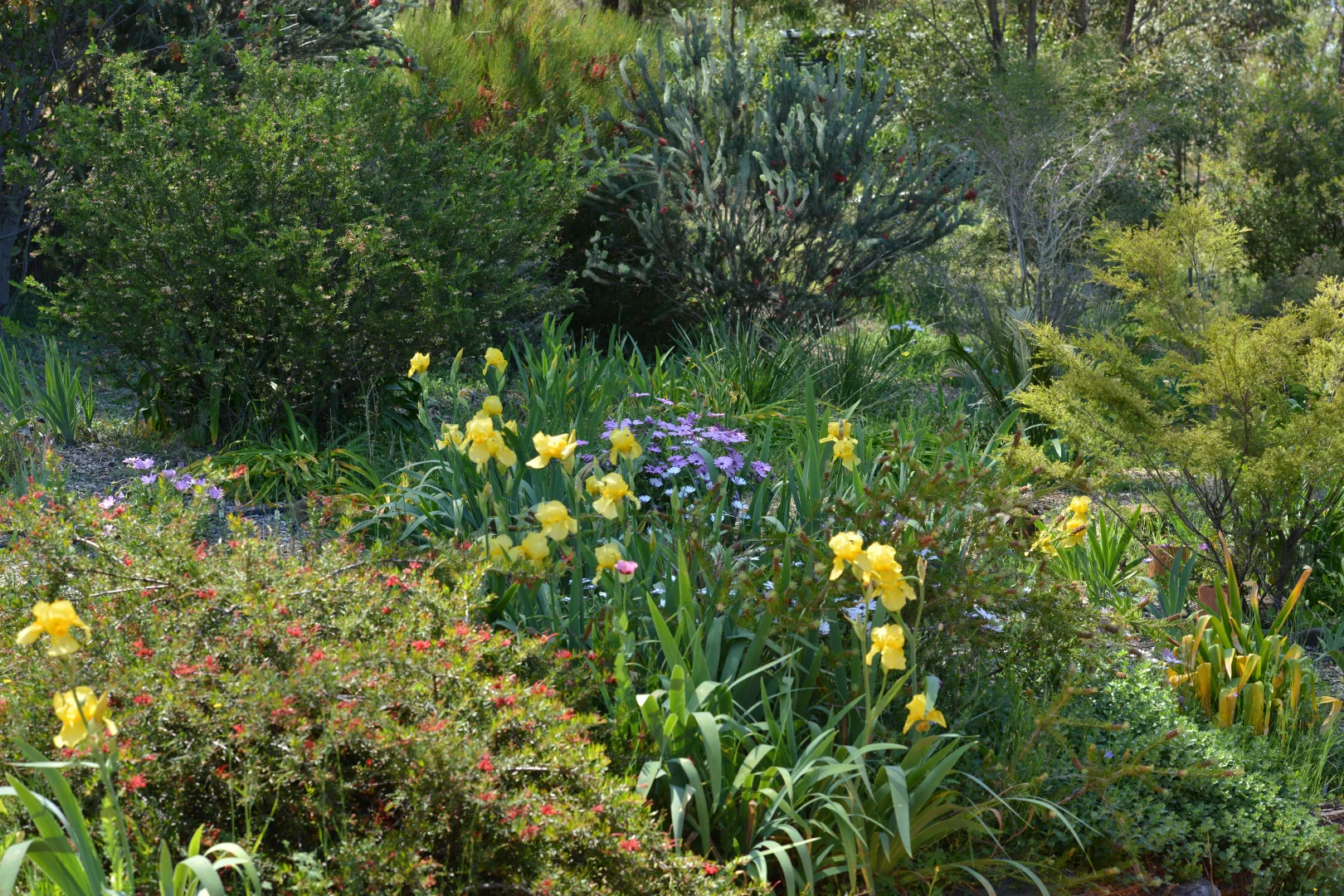 Additional image 11 of 20 Kurrajong Road, Coonabarabran NSW 2357