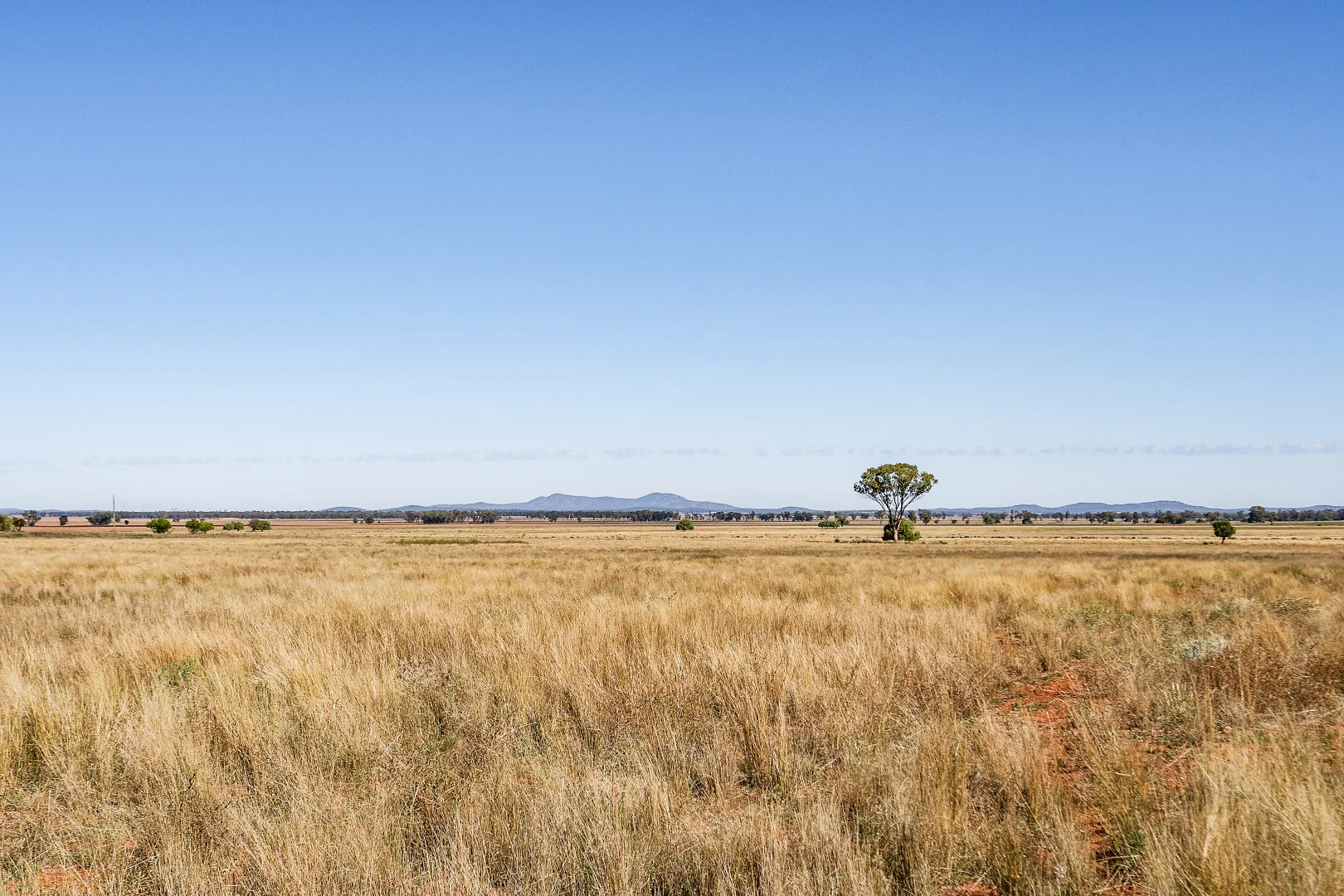 Additional image 19 of 4229 Bobadah Road, Bobadah NSW 2877