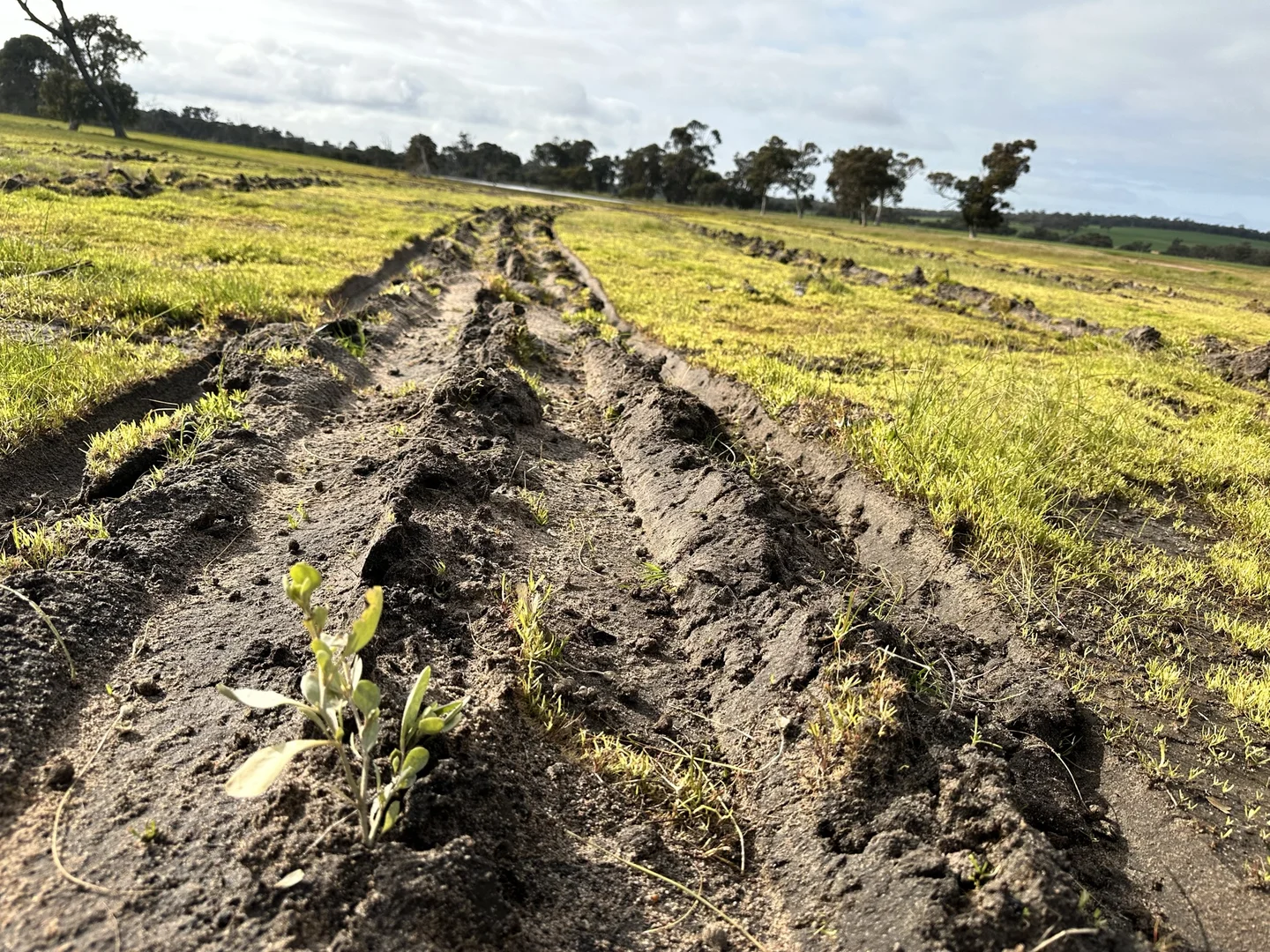 Additional image 28 of 331 Clitchbury Road, Frankland River WA 6396