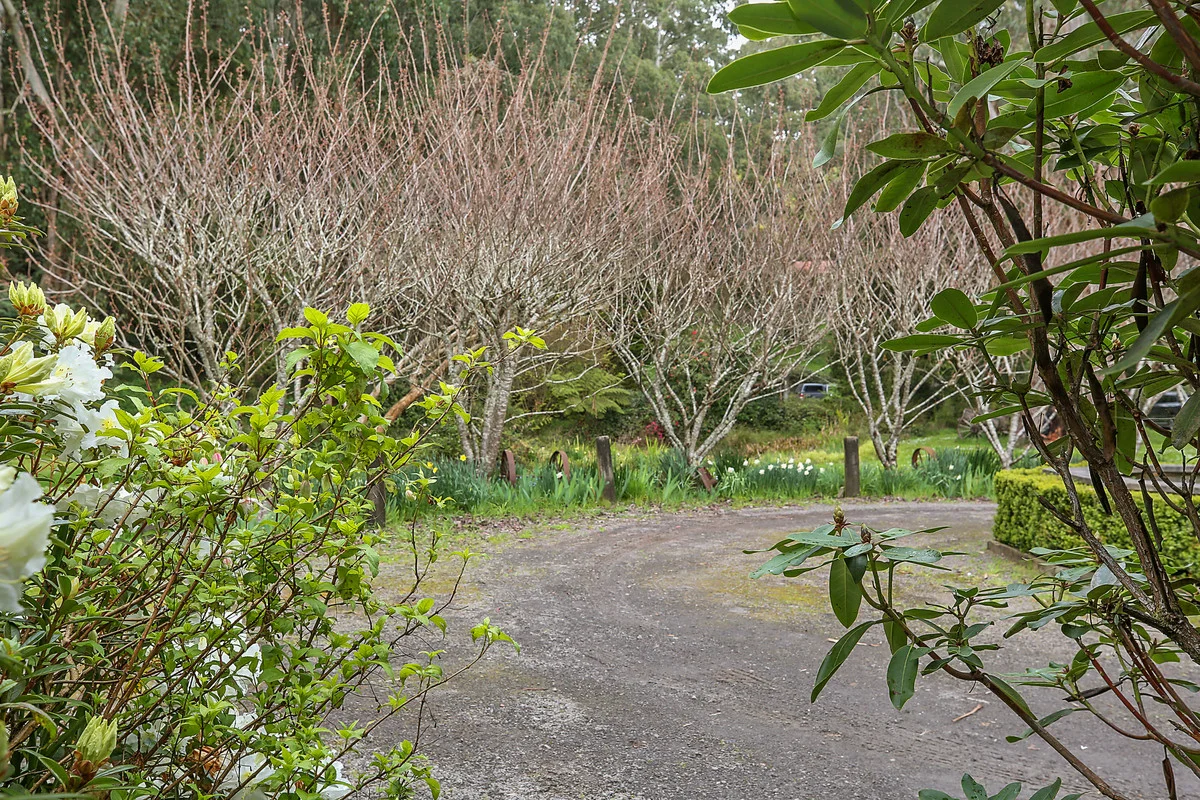 Additional image 5 of 3360 Colac-Lavers Hill Road, Ferguson VIC 3237