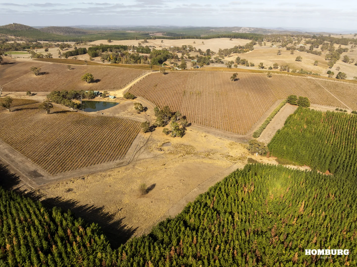 Additional image 5 of 453 Springton Road, Pewsey Vale SA 5351