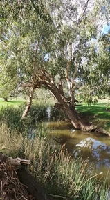 Additional image 35 of 14 Packs Grant Road, Cowra NSW 2794