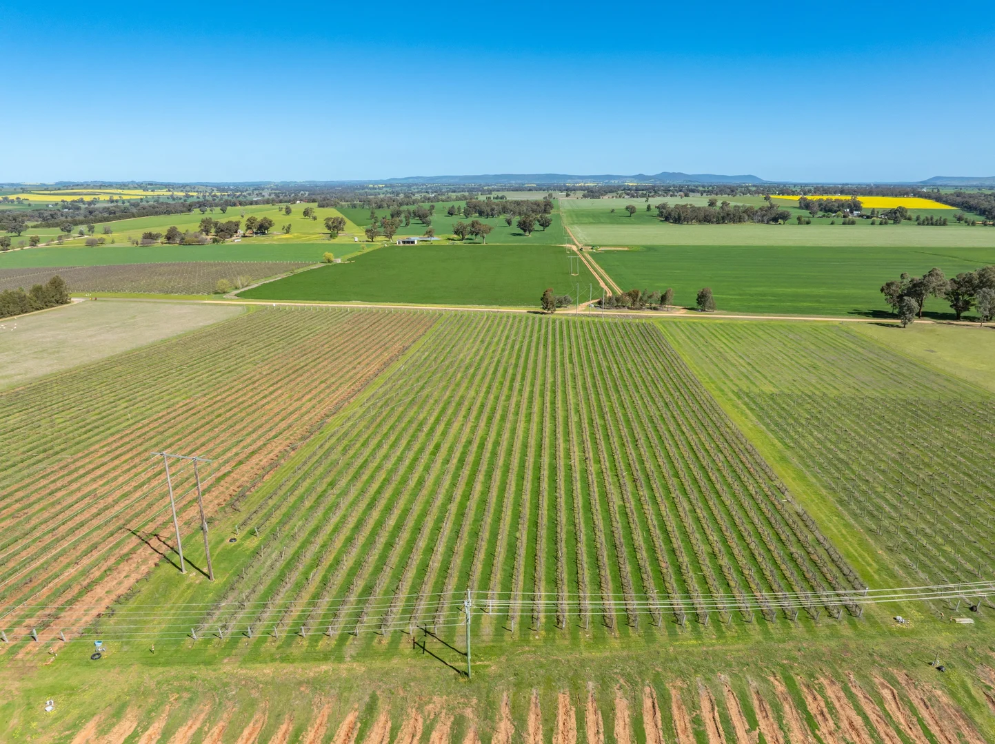 Additional image 5 of 106 Anderson Lane, Cowra NSW 2794