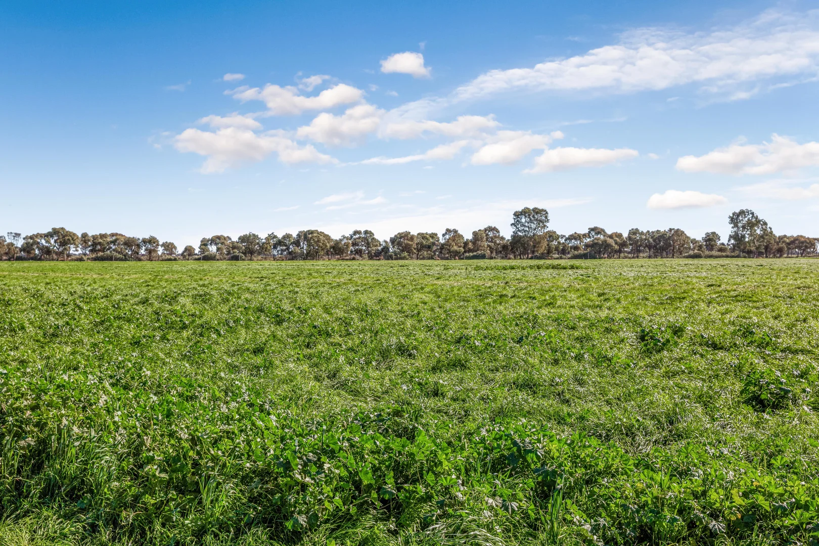 Additional image 16 of 198 Tragowel Road, Tragowel VIC 3579