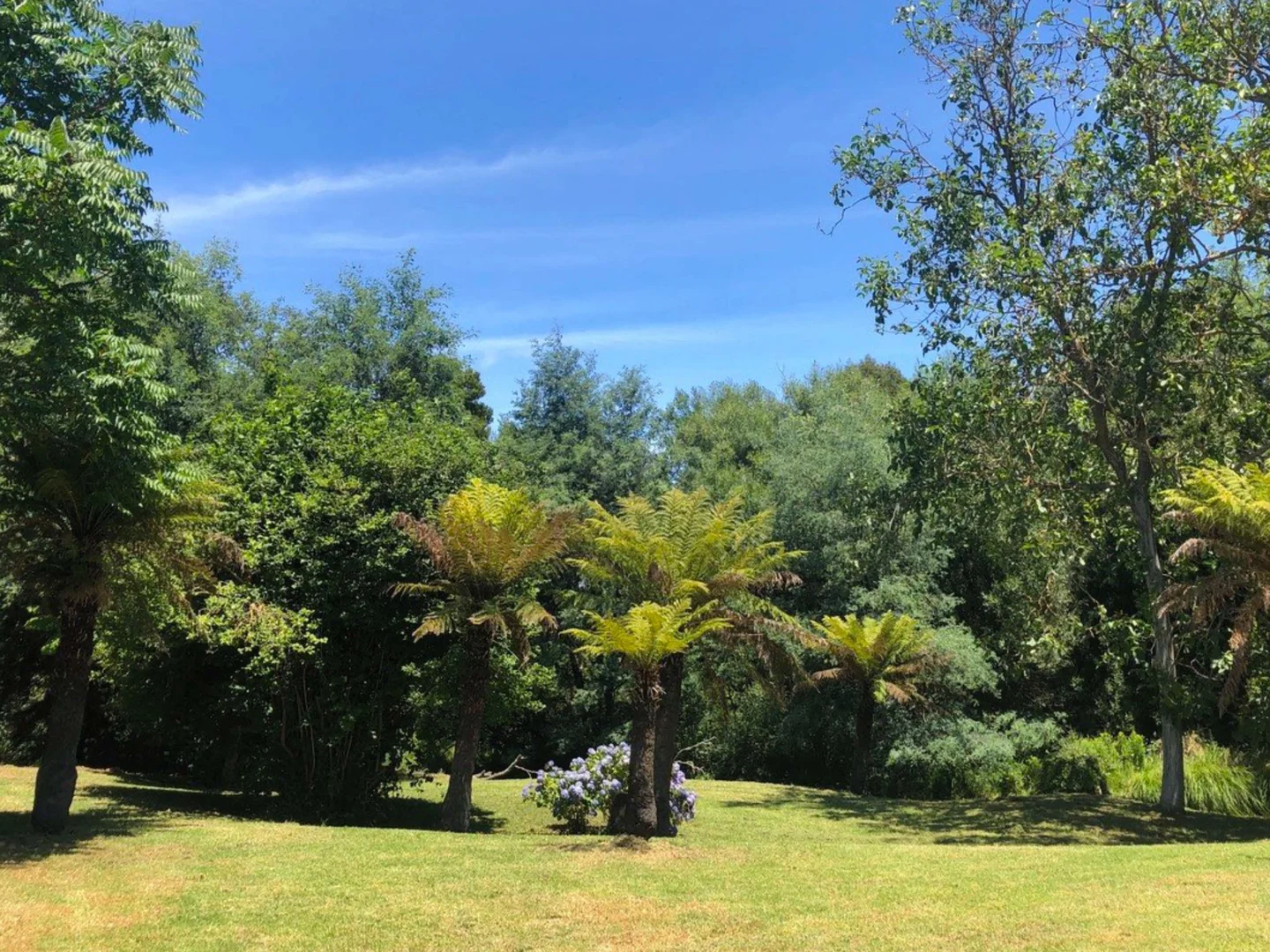 Additional image 5 of 1093 Taggerty-Thornton Road, Thornton VIC 3712