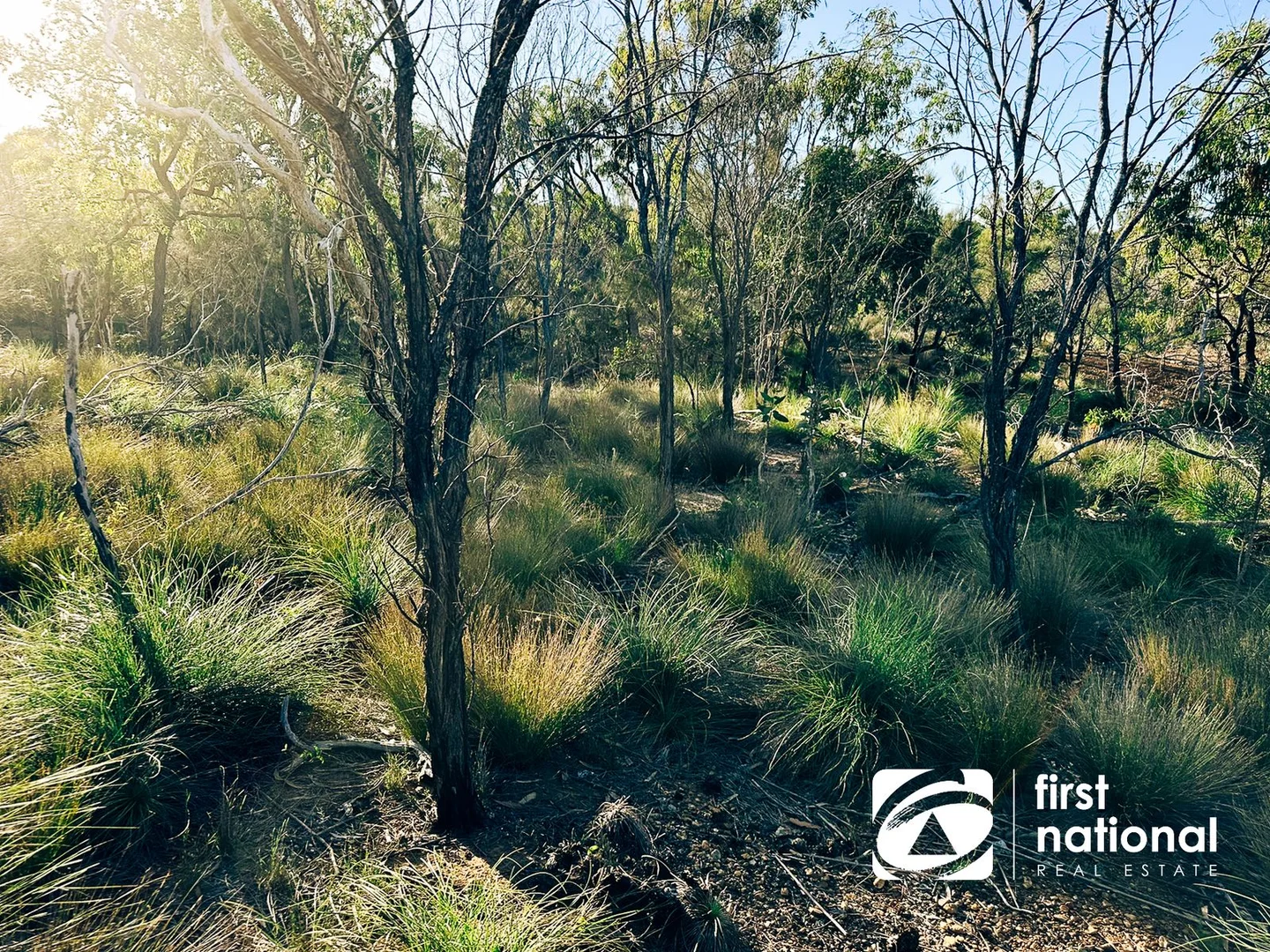 Additional image 26 of Quail Island, Stanage QLD 4702