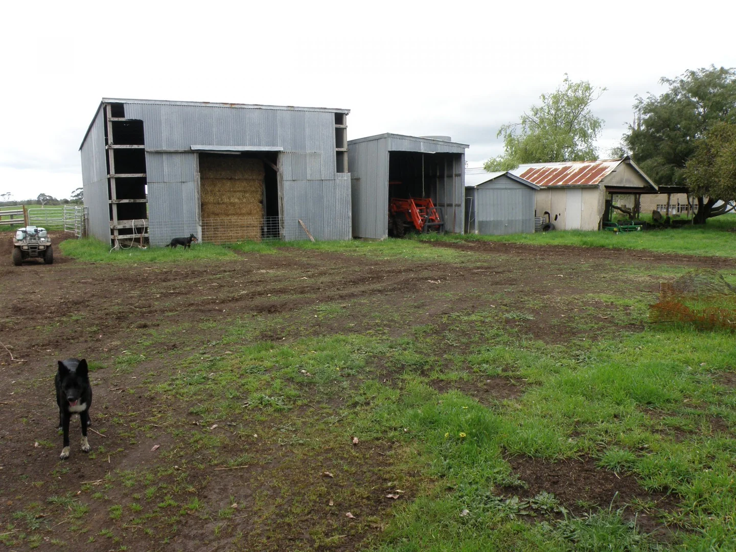 Additional image 4 of 220 Harlocks Road, Pomborneit North VIC 3260