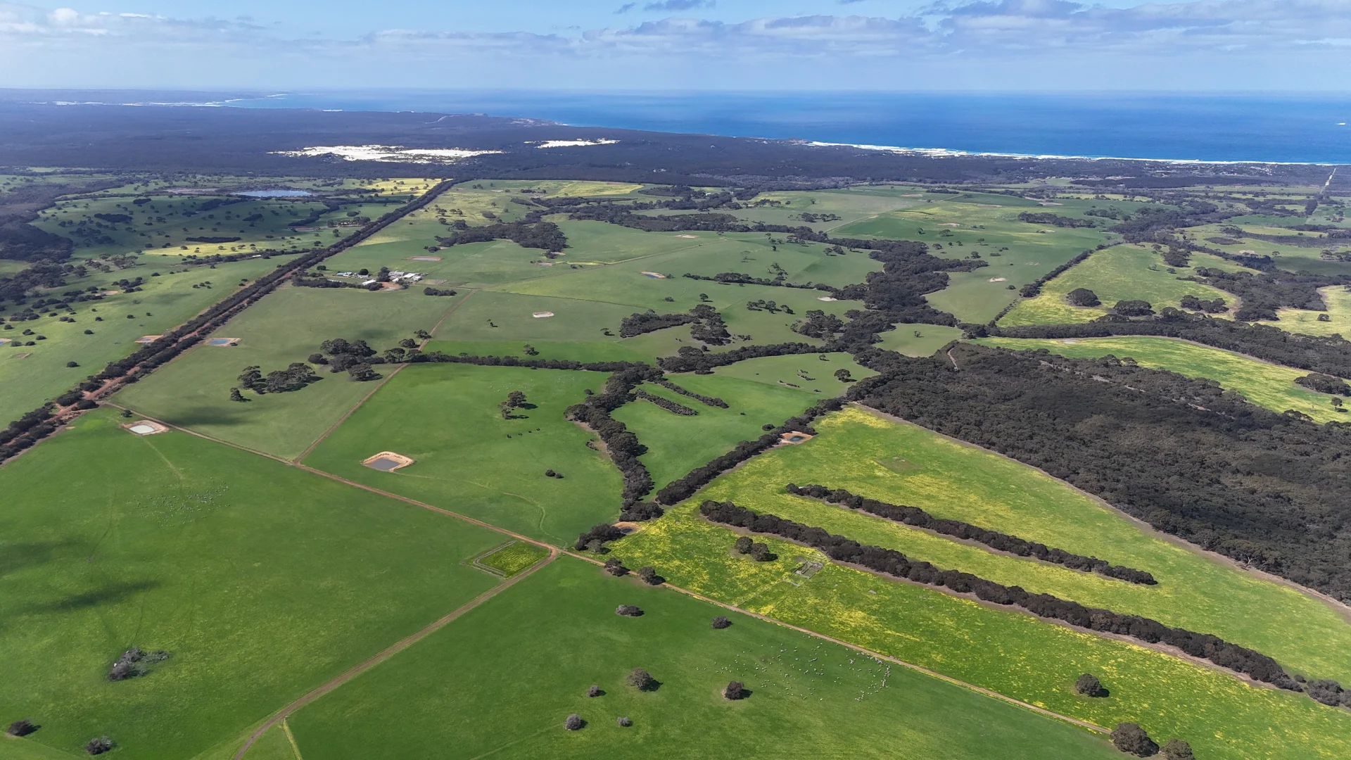 Additional image 18 of 958 Crabbs Road, Newland SA 5223