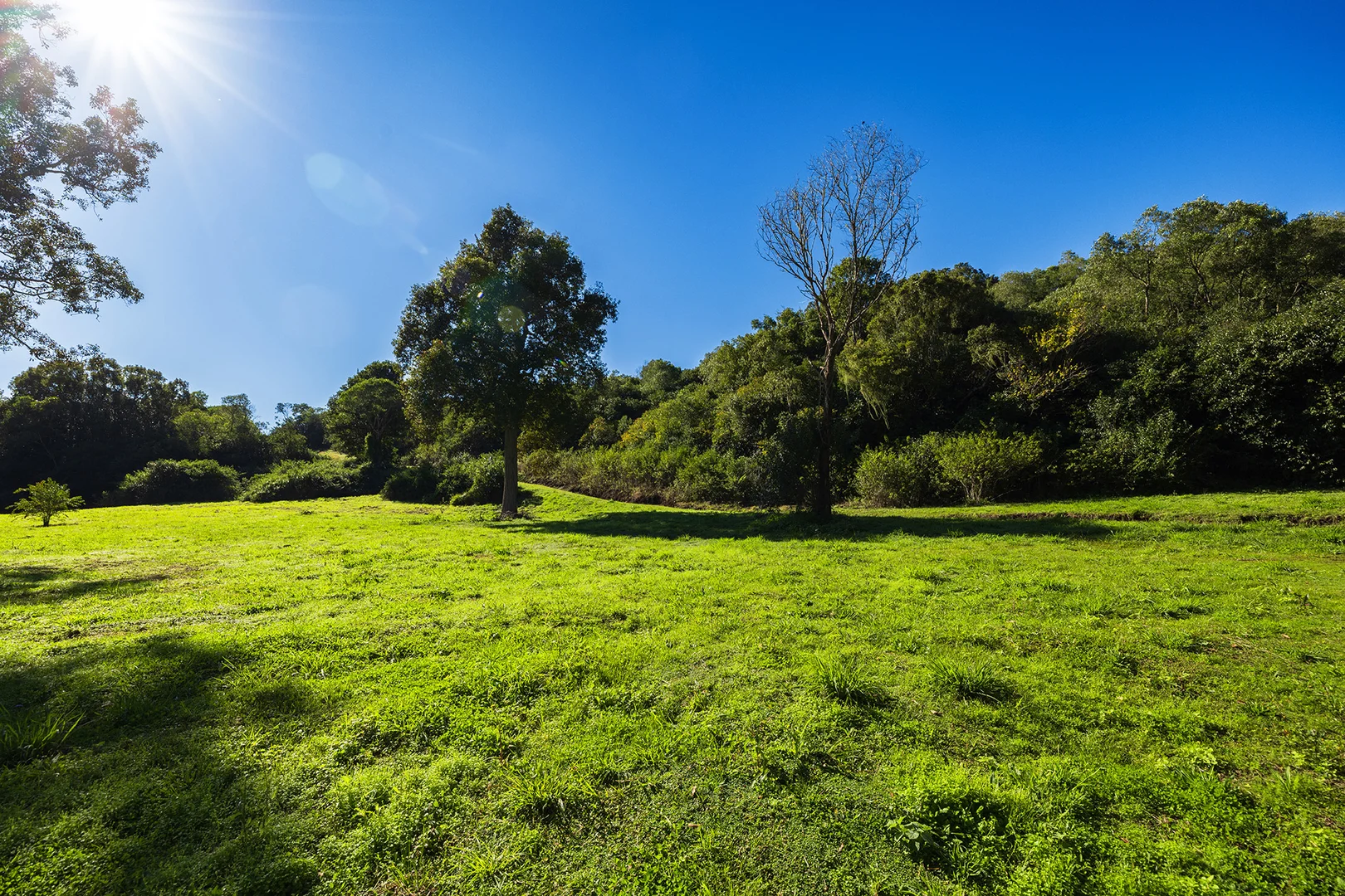 Additional image 20 of 48 Lincoln Avenue, McLeans Ridges NSW 2480