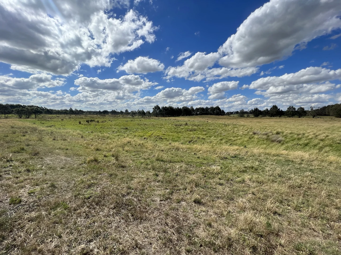 Additional image 28 of Lot 1 Mount Rae Road, Roslyn, Crookwell NSW 2583