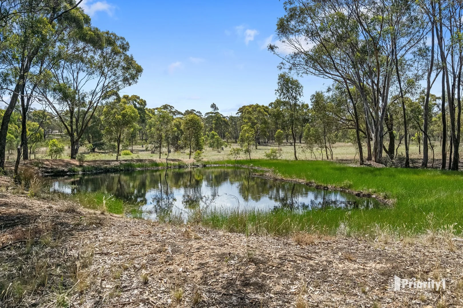 141 Bealiba-Moliagul Road, Bealiba VIC 3475