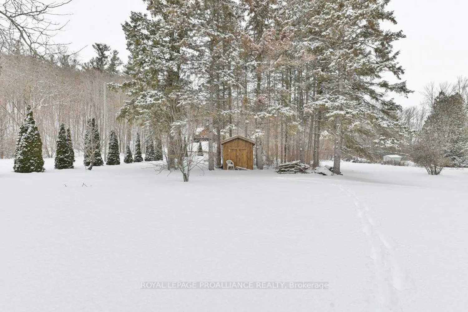 Additional image 15 of 556 Rosebush Road