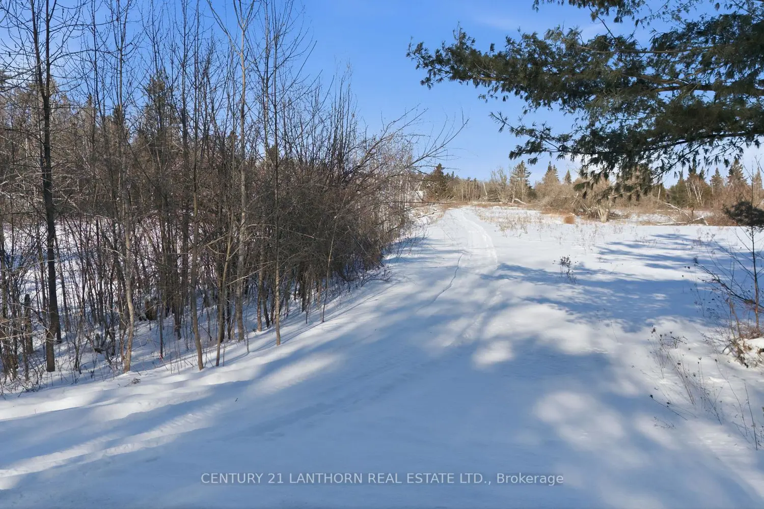 Additional image 10 of 1012 12Th Line