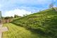 Additional image 15 of Elizabeth Penton Way, Bampton, Tiverton