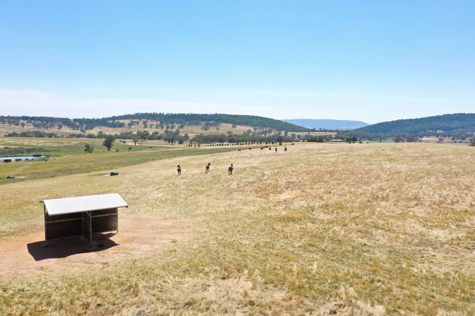 Additional image 3 of 195 Wambanumba Drive, Young NSW 2594