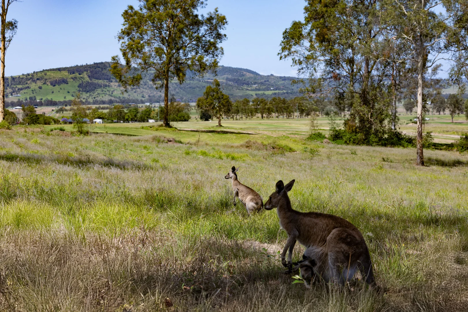 Additional image 19 of 53 Deletraz Road, Wivenhoe Pocket QLD 4306