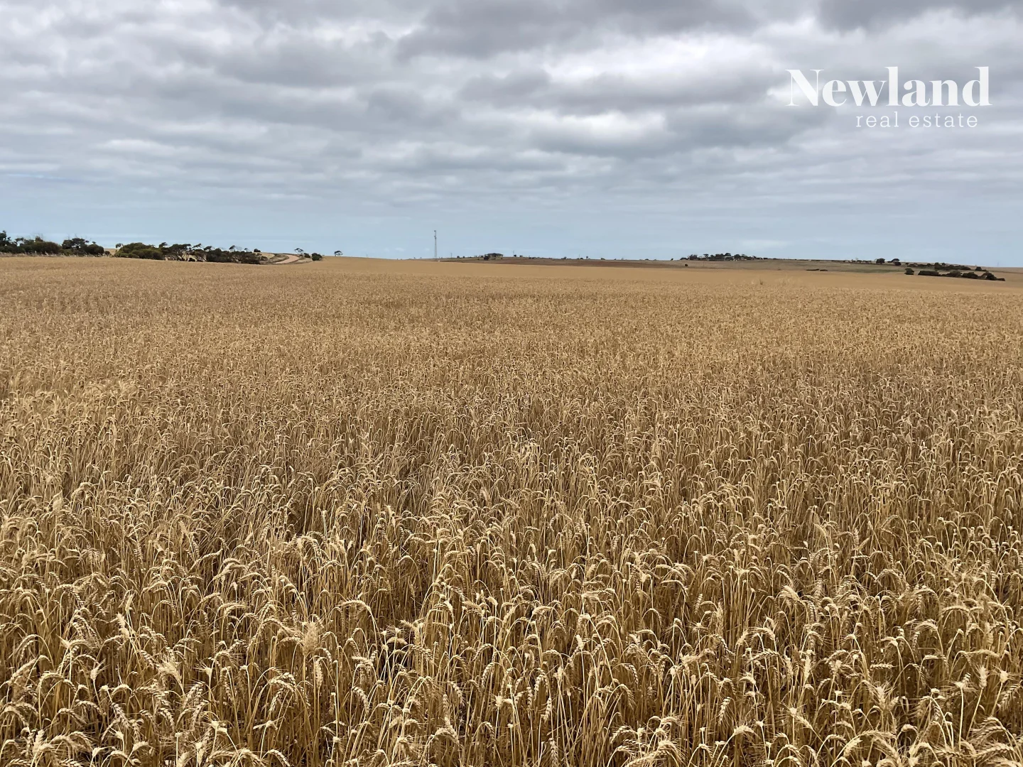 Additional image 3 of 107A Chalmers Road, Port Neill SA 5604