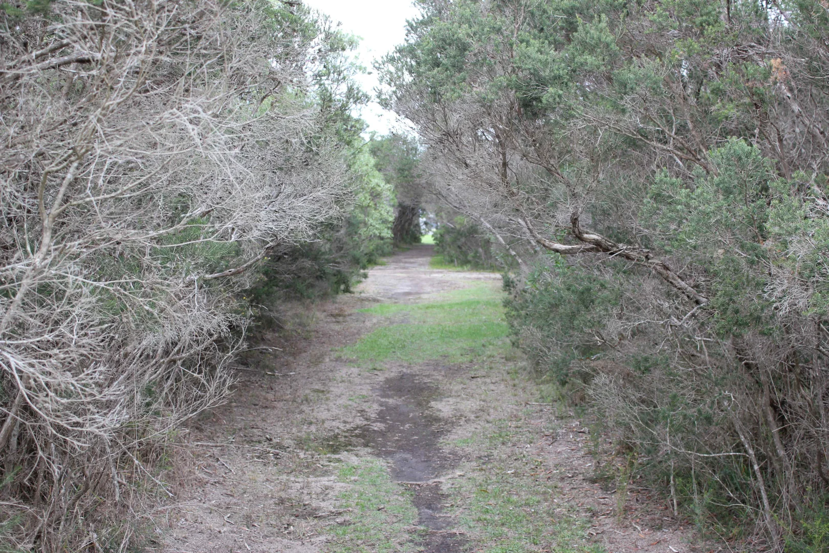 Additional image 12 of 29-31 Gibson Street, Port Albert VIC 3971