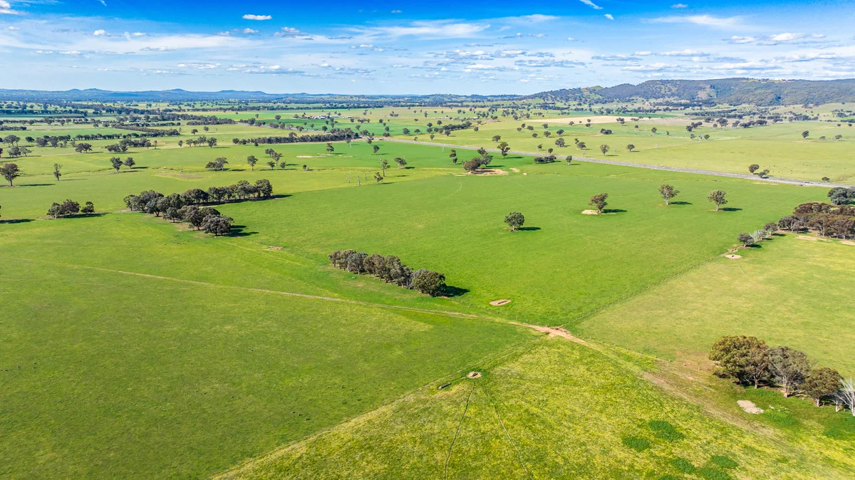 Additional image 34 of 1791 Olympic Highway, Culcairn NSW 2660